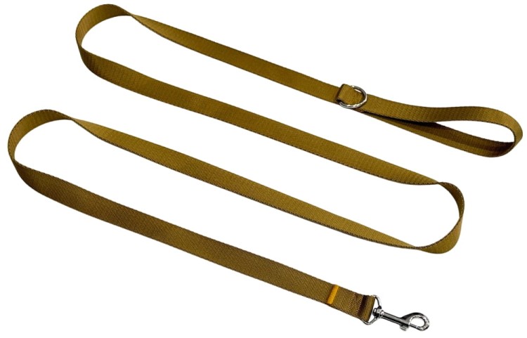 Smycz dla Psa Tradycyjna 2,5 cm Złota Zepnij