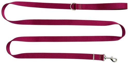 Smycz dla Psa Tradycyjna 2,5 cm Bordowa Zepnij