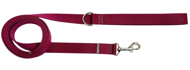 Smycz dla Psa Tradycyjna 2,5 cm Bordowa Zepnij