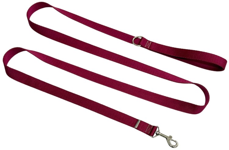 Smycz dla Psa Tradycyjna 2,5 cm Bordowa Zepnij