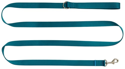 Smycz dla Psa Tradycyjna 2,5 cm Turkusowa Zepnij