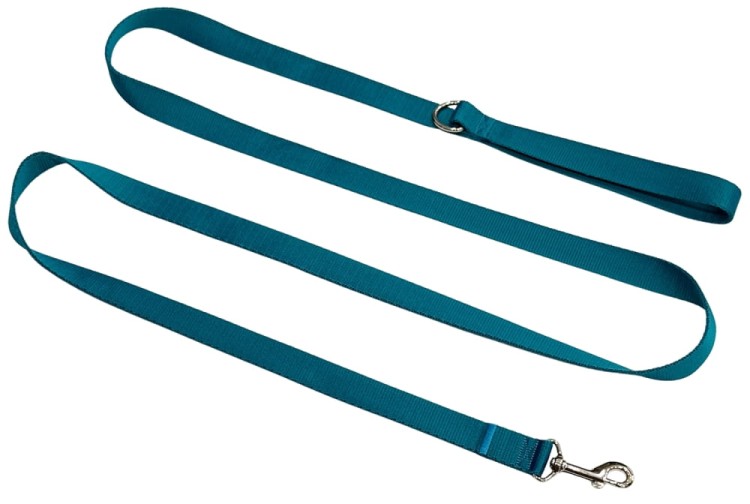 Smycz dla Psa Tradycyjna 2,5 cm Turkusowa Zepnij