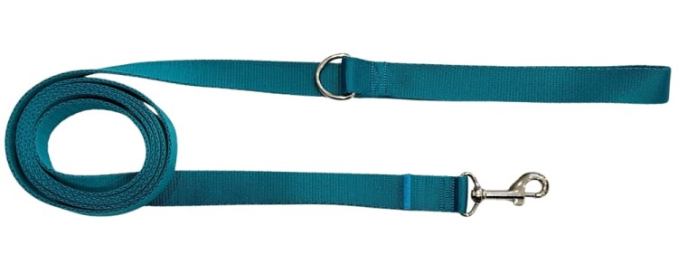 Smycz dla Psa Tradycyjna 2,5 cm Turkusowa Zepnij