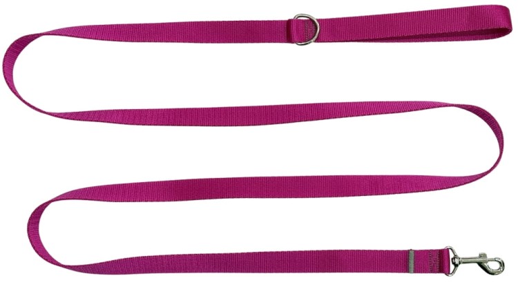 Smycz dla Psa Tradycyjna 2,5 cm Fuksja Zepnij