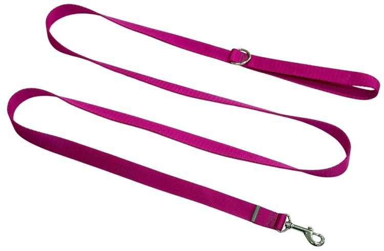 Smycz dla Psa Tradycyjna 2,5 cm Fuksja Zepnij