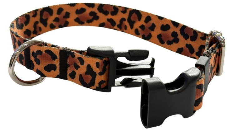 Obroża dla Psa 2 cm z klamrą Regulowana Pantera Zepnij