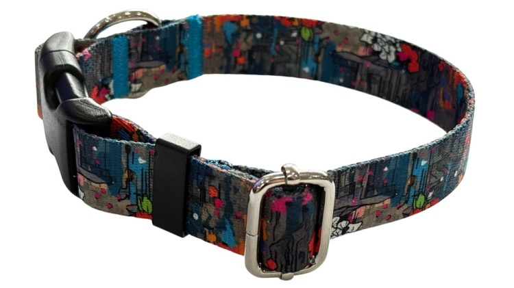 Obroża dla Psa 2 cm z klamrą Regulowana Graf Zepnij