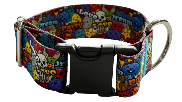 obroża dla psa 4cm z klamrą dream Zepnij 2.jpg