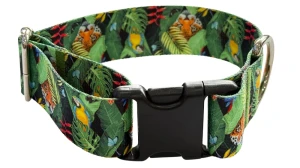 Obroża dla Psa szeroka 4 cm z klamrą Tropical Zepnij