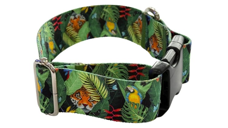 Obroża dla Psa szeroka 4 cm z klamrą Tropical Zepnij