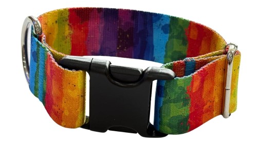 Obroża dla Psa szeroka 4 cm z klamrą Rainbow Zepnij