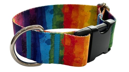 Obroża dla Psa szeroka 4 cm z klamrą Rainbow Zepnij