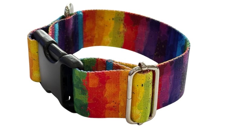 Obroża dla Psa szeroka 4 cm z klamrą Rainbow Zepnij