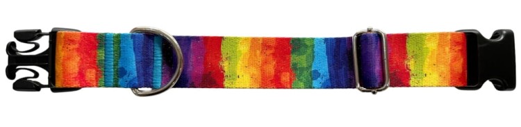 Obroża dla Psa szeroka 4 cm z klamrą Rainbow Zepnij