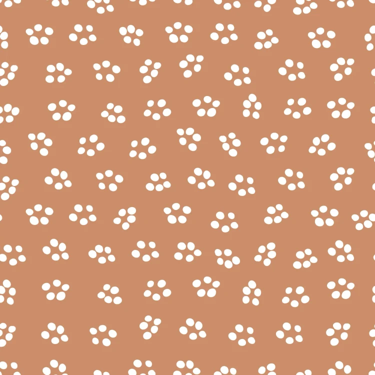 262_Caramel Dots.webp