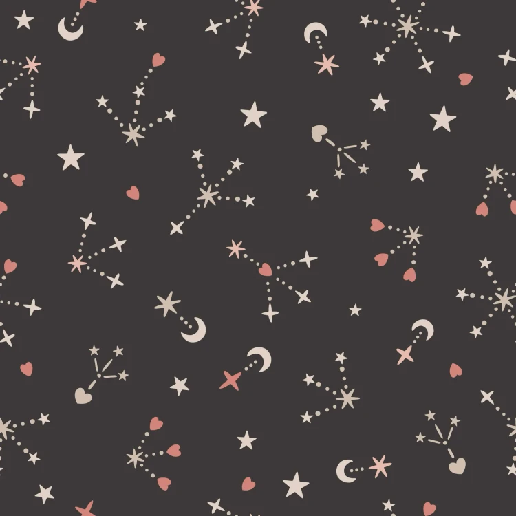 304_Moon Trails.webp