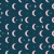 411_Night Moons.webp