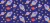 424_Rocket Paws.webp