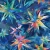 487_Cosmic Stars.webp