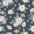 786_Moon Daisy.webp