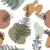 796_Fern Forms.webp