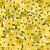 808_Sunflower Rush.webp
