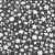 822_Midnight Florals.webp