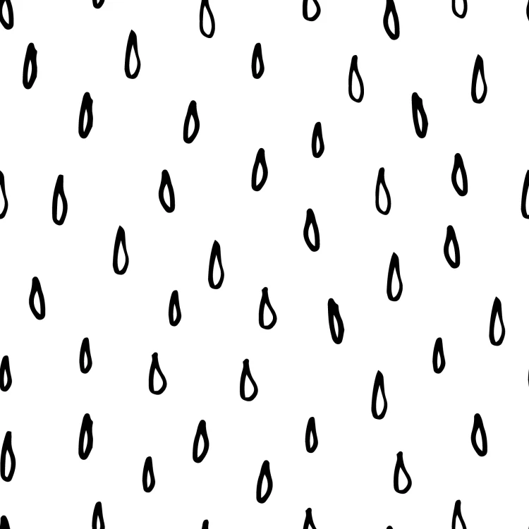 895_Rain Loops.webp