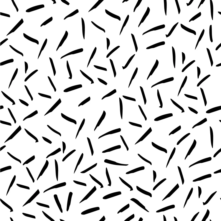 903_Broken Lines.webp