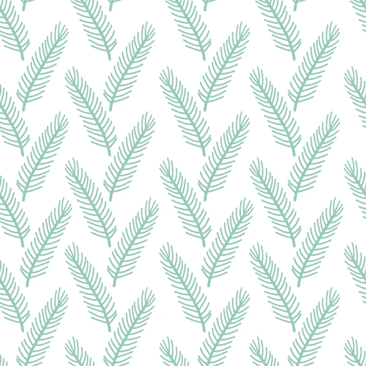1040_Mint Fir.webp