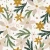 1324_Golden Poinsettia.webp