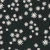 1339_Midnight Daisies.webp