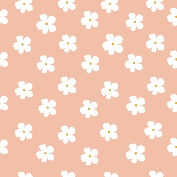 151_Peach Daisy.webp