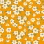 340_Amber Daisies.webp