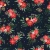 442_Citrus Poinsettias.webp