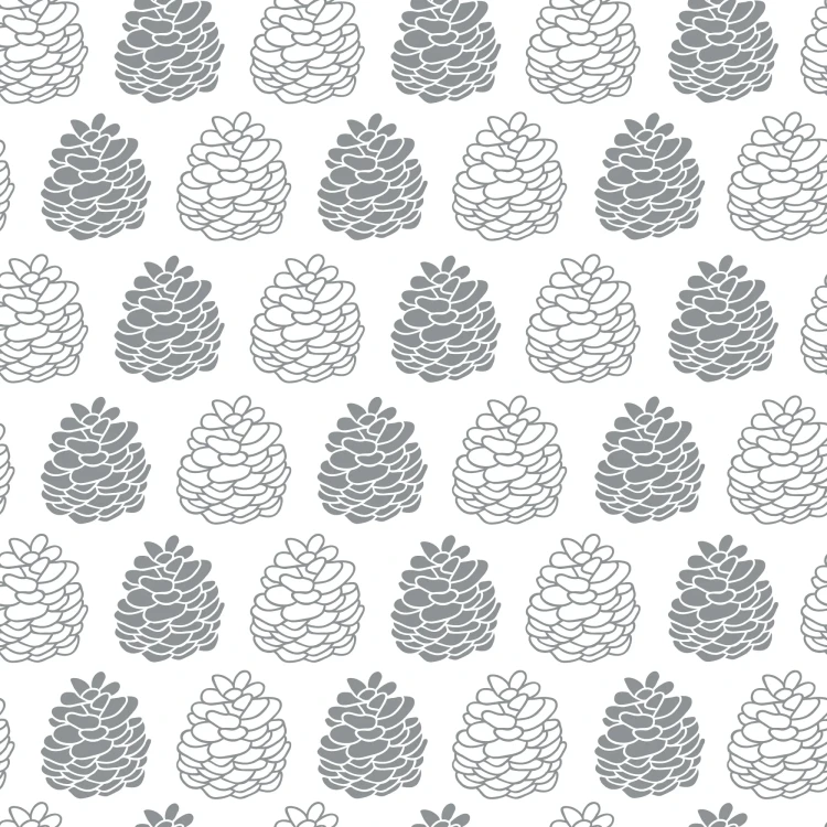 456_Pine Cones.webp
