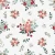 531_Cotton Noel.webp