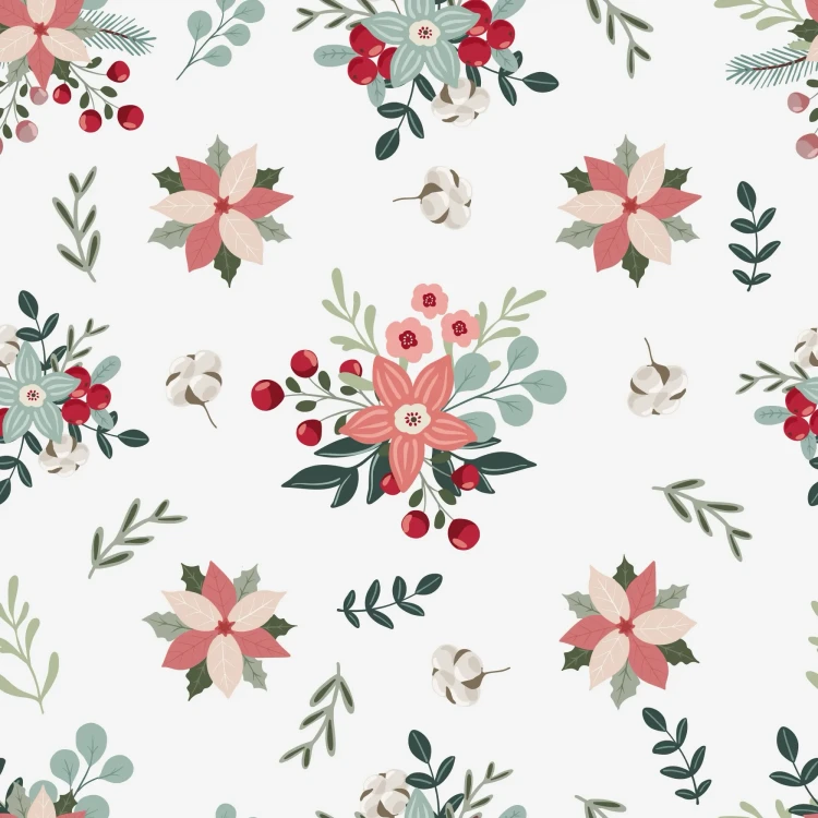 531_Cotton Noel.webp