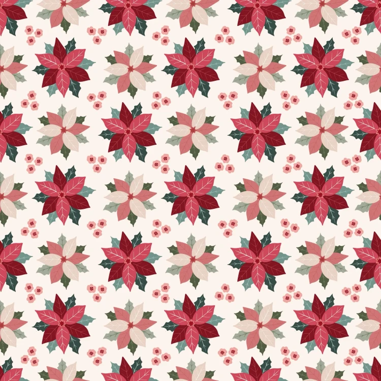 539_Blush Poinsettia.webp