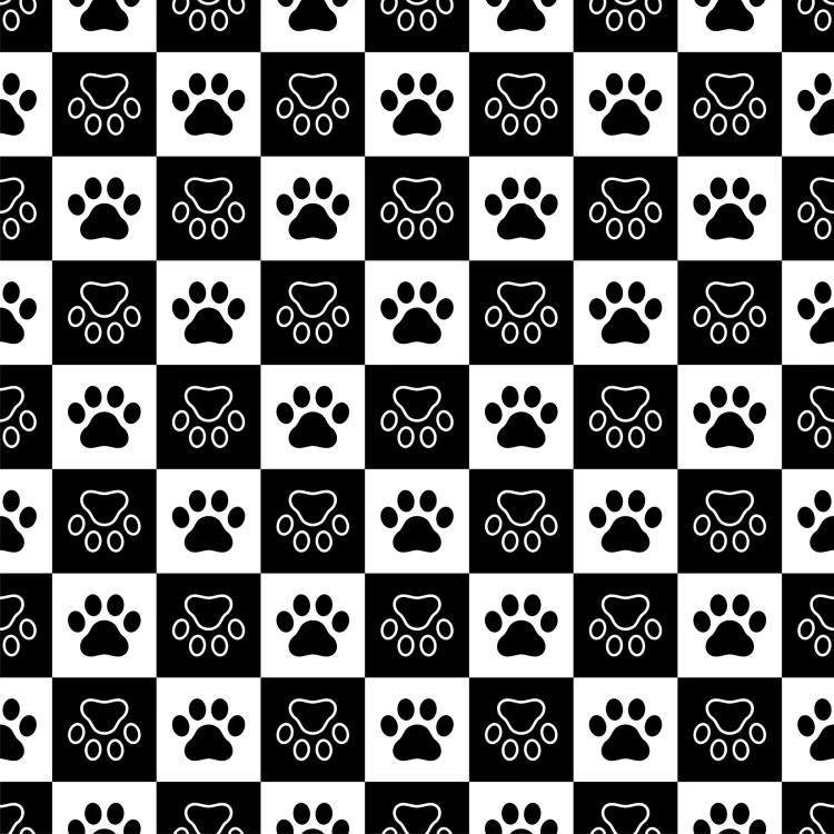553_Paw Checkers.webp