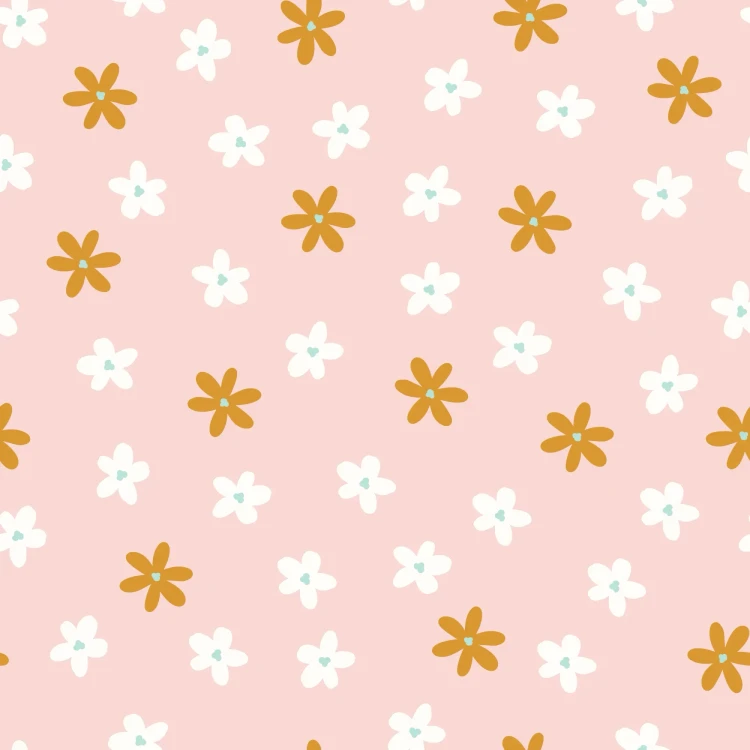 582_Blush Daisies.webp