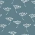687_White Umbels.webp