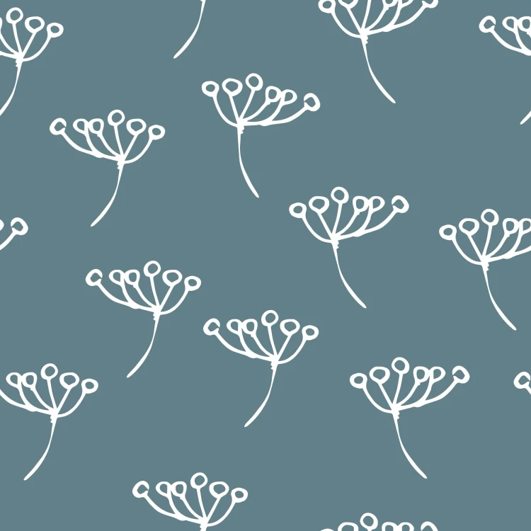 687_White Umbels.webp