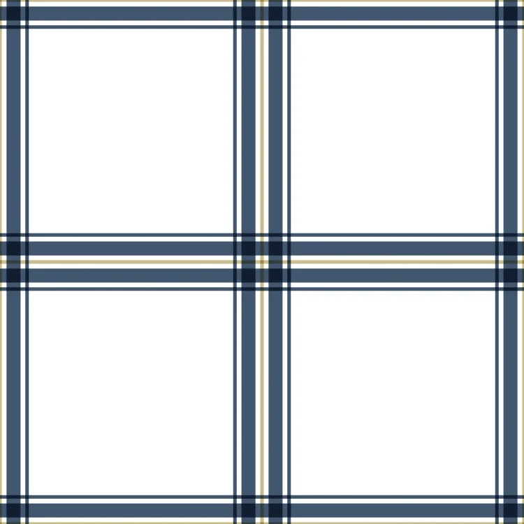 699_Classic Check.webp