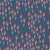 714_Coral Tulip.webp