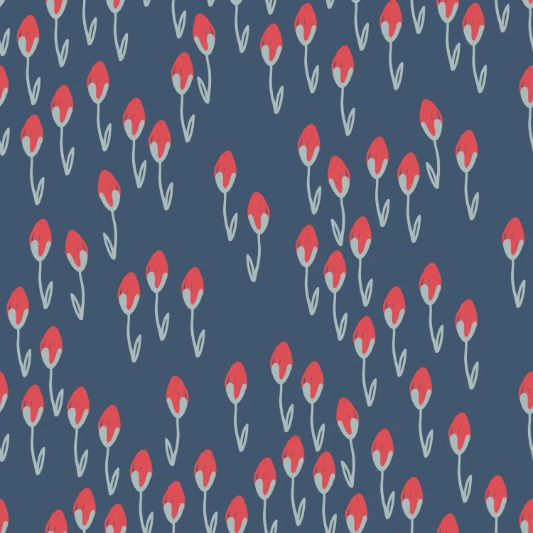 714_Coral Tulip.webp