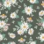 767_Olive Daisies.webp