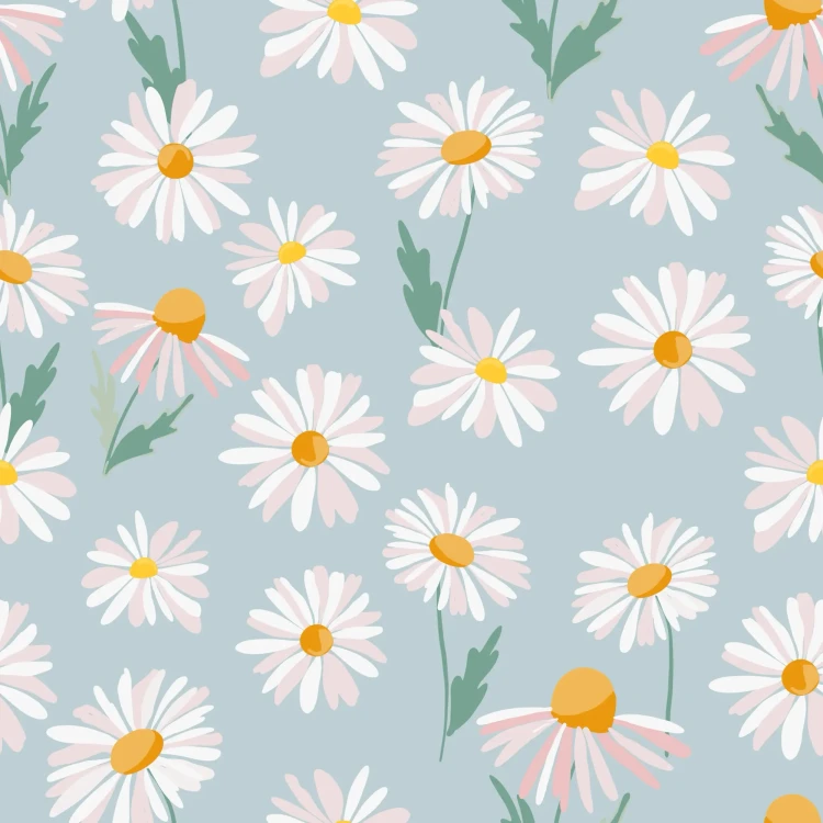 779_Daisy Sky.webp
