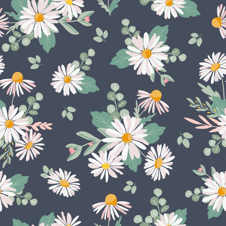 786_Moon Daisy.webp