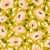 804_Honey Petals.webp